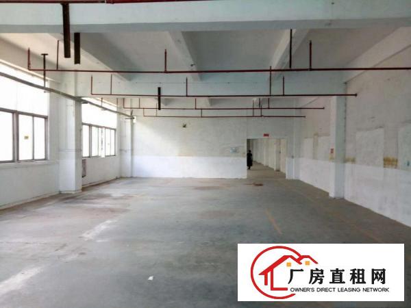 
		松岗下山门工业区800平工业厂房出租，消防设施完善
	