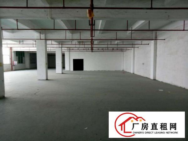 
		松岗下山门工业区800平工业厂房出租，消防设施完善
	