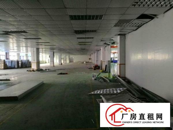 
		松岗碧头1500平精装厂房出租，公摊面积小，实图
	