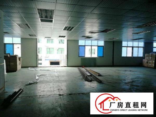 
		松岗碧头1500平精装厂房出租，公摊面积小，实图
	