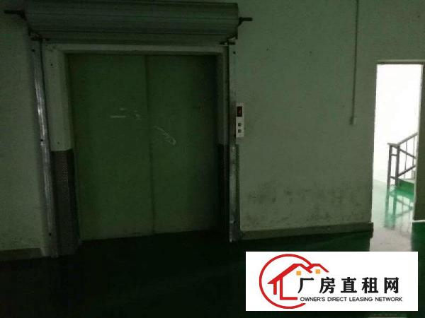 
		松岗碧头1500平精装厂房出租，公摊面积小，实图
	