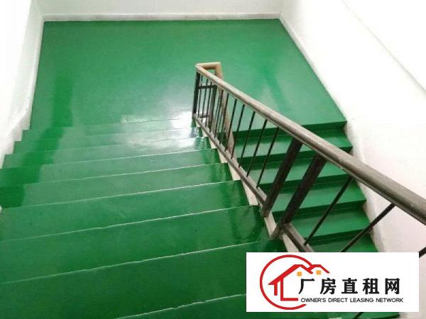 
		松岗碧头1500平精装厂房出租，公摊面积小，实图
	