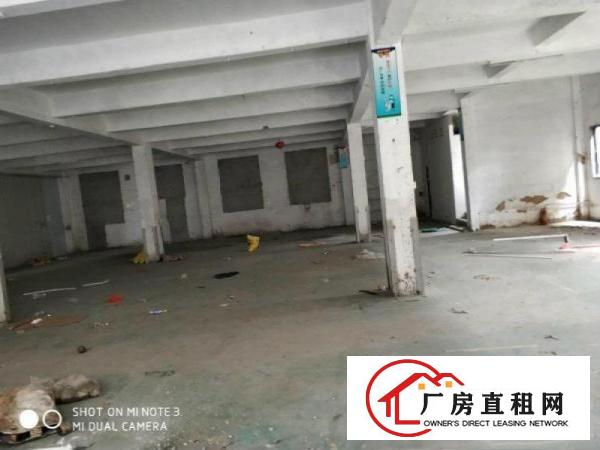 
		松岗洪桥头2300平单层大厂房出租，有红本，公摊少
	