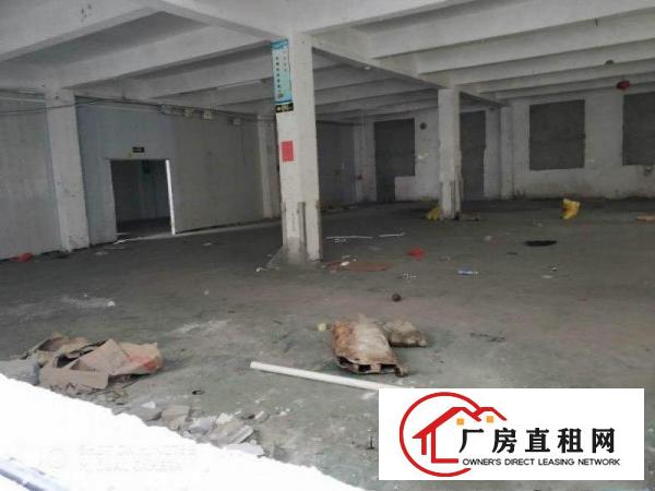 
		松岗洪桥头2300平单层大厂房出租，有红本，公摊少
	