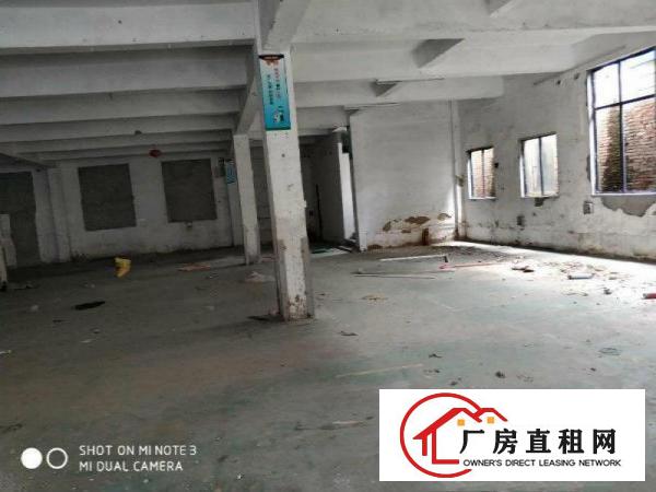 
		松岗洪桥头2300平单层大厂房出租，有红本，公摊少
	