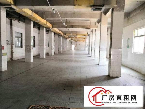 
		松岗洪桥头2300平单层大厂房出租，有红本，公摊少
	