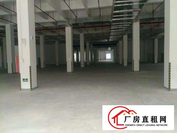 
		松岗龙大/南光高速出口高新技术产业园《带红本》
	