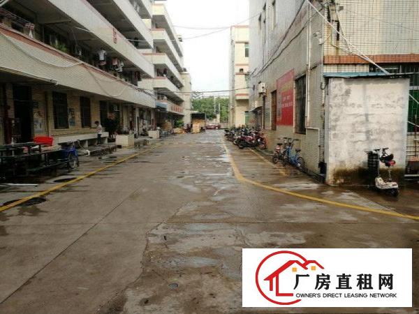 
		松岗红星380平标准厂房出租，产证齐全，便利，实图
	