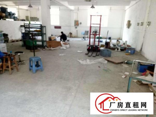
		松岗潭头300平标准厂房出租，价格实惠，便利，实图
	