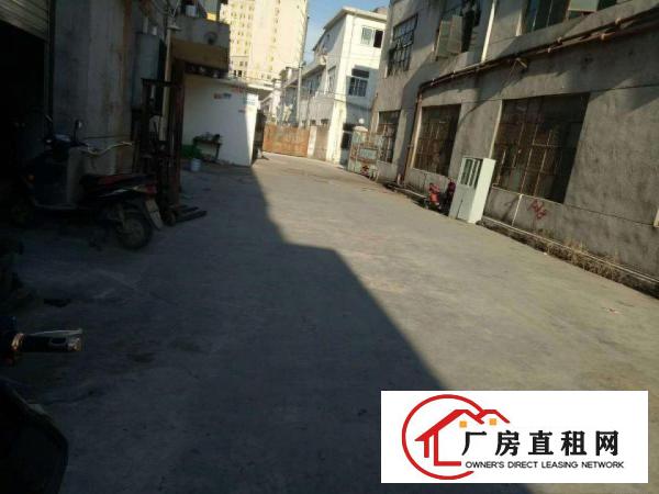 
		松岗潭头300平标准厂房出租，价格实惠，便利，实图
	