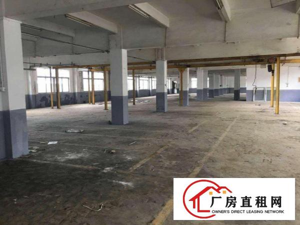 
		深圳松岗新出一楼2500平带行车厂房，适五金模具业
	