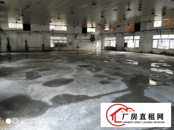 
		松岗洋涌工业区1300平厂房出租，有空地，实图
	