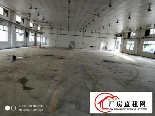
		松岗洋涌工业区1300平厂房出租，有空地，实图
	