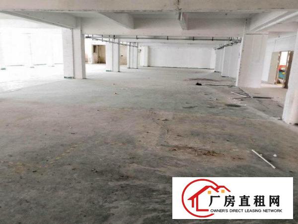 
		松岗洋涌工业区1300平厂房出租，有空地，实图
	