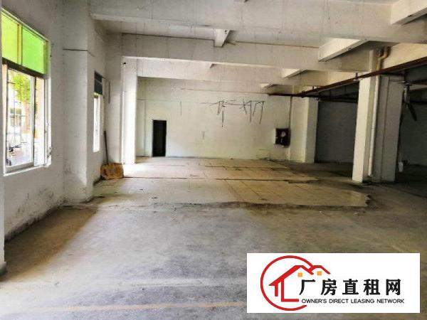 
		松岗洋涌工业区1300平厂房出租，有空地，实图
	