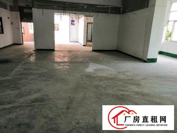 
		松岗洋涌工业区1300平厂房出租，有空地，实图
	