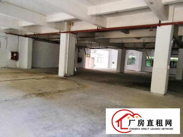 
		松岗洋涌工业区1300平厂房出租，有空地，实图
	