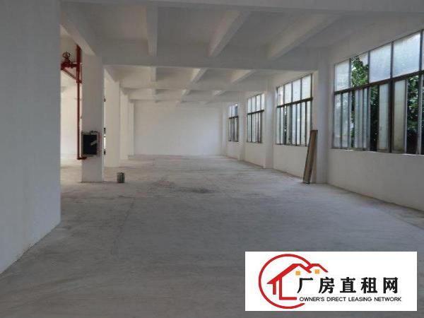
		松岗燕罗路附近高新红本科技园精装厂房特价出租
	