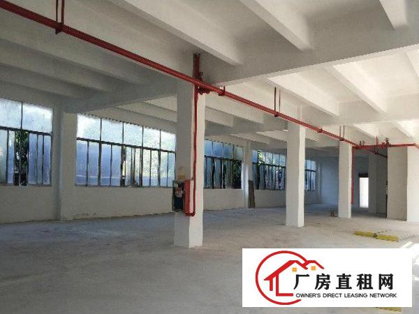 
		松岗燕罗路附近高新红本科技园精装厂房特价出租
	