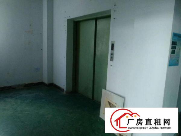 
		松岗红星1650厂房出租，产证齐全，公摊小，便利
	