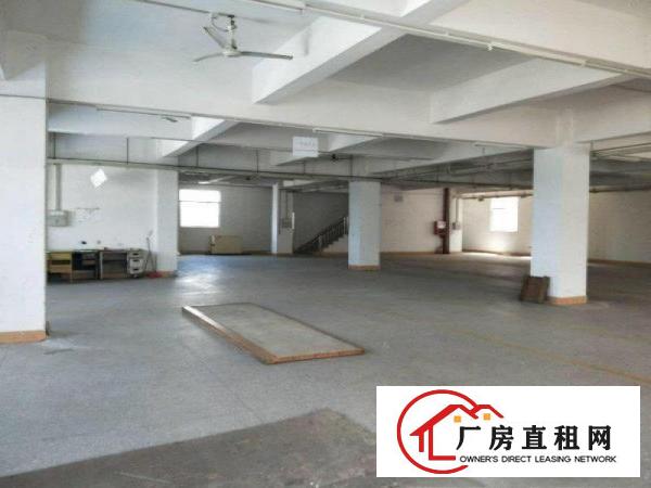 
		石岩洲石路新出楼上1100平厂房，有红本
	