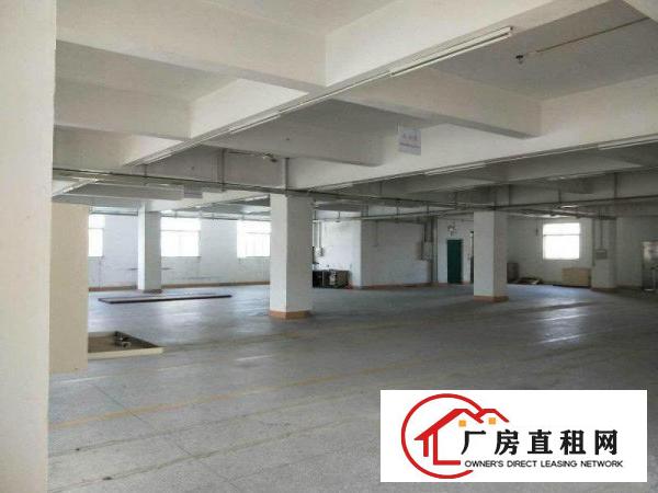
		石岩洲石路新出楼上1100平厂房，有红本
	