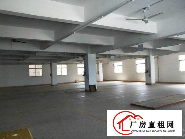 
		石岩洲石路新出楼上1100平厂房，有红本
	