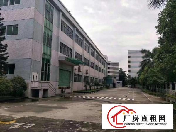 
		深圳公明上村莲塘工业区独院3000平空地2000平
	