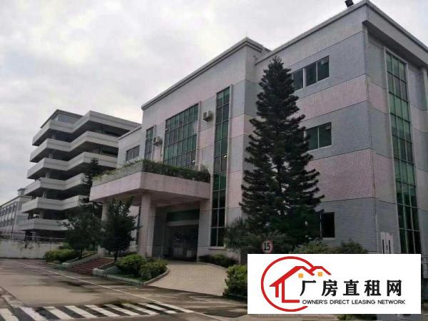 
		深圳公明上村莲塘工业区独院3000平空地2000平
	