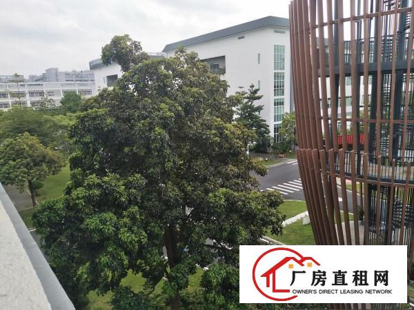 
		塘头花园式精装修小厂房随意分租。大小可分
	