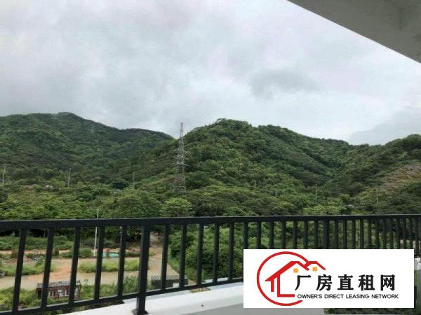 
		石岩政府支持项目中俄两国智能智造创新园厂房办公研发
	