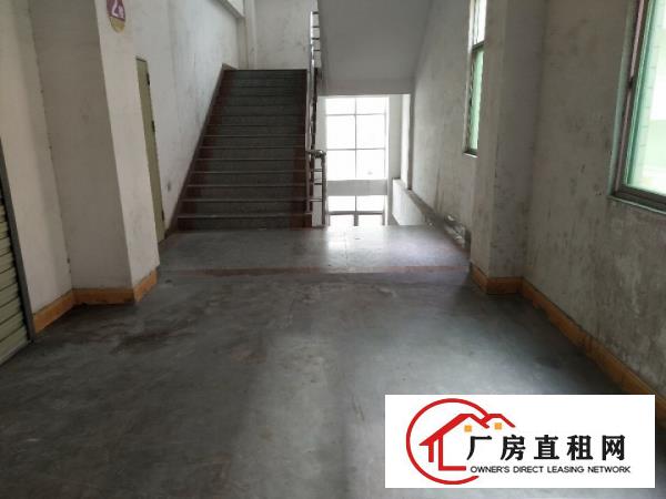 
		石岩外环路旁新出楼上1400平厂房出租交通便利
	