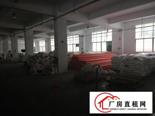
		园岭大道新出一楼2500平仓库厂房招租，简装可分租
	
