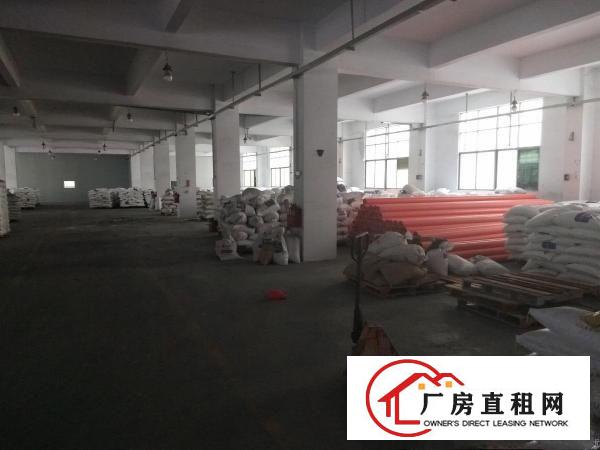 
		园岭大道新出一楼2500平仓库厂房招租，简装可分租
	