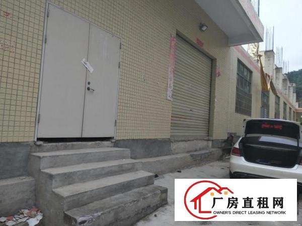
		园岭大道新出一楼2500平仓库厂房招租，简装可分租
	