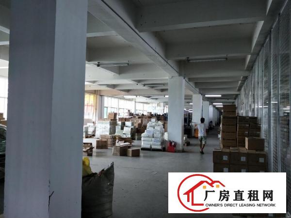 
		龙大高速旁新出楼上3100平仓库厂房招租消防完善
	