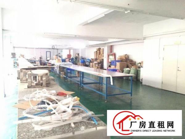 
		石岩水田新出楼上750平带现成装修无转让费厂房出租
	