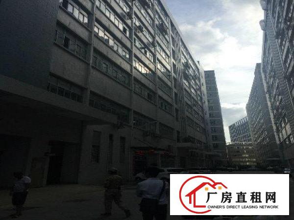 
		石岩塘头第三工业区新楼上1900平方厂房精装修出租
	