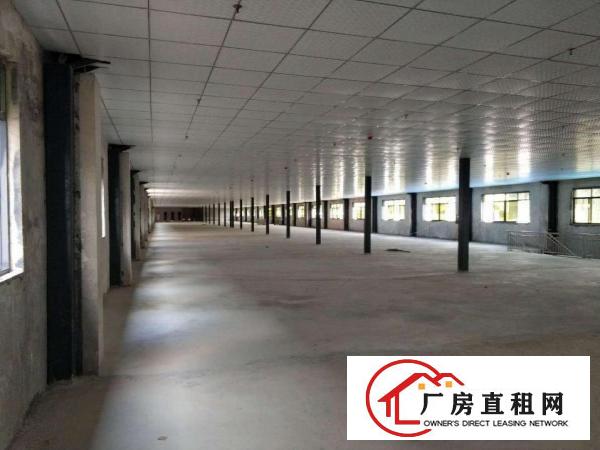 
		石岩汽车站新出1500平厂房出租有红本可分割！
	