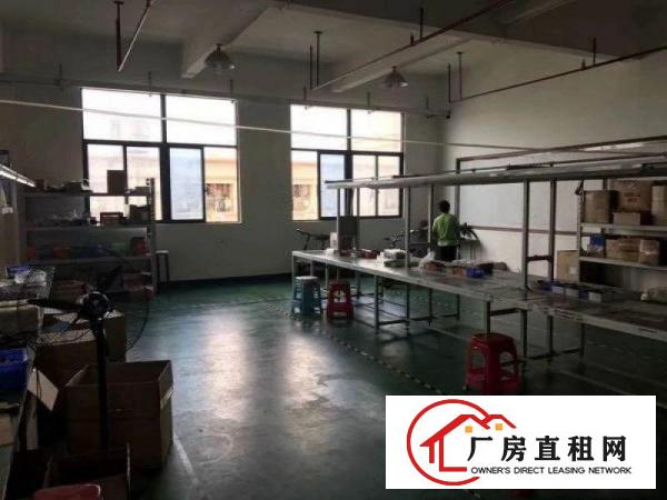 
		石岩汽车站原房东带精装修500平方厂房
	