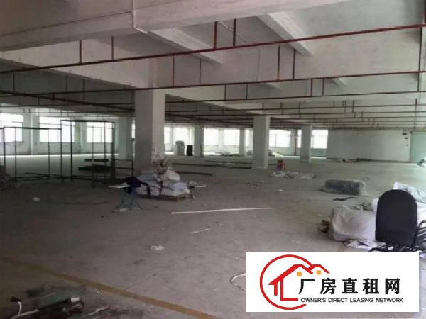 
		石岩标准厂房一楼600二楼1000带装修招租
	