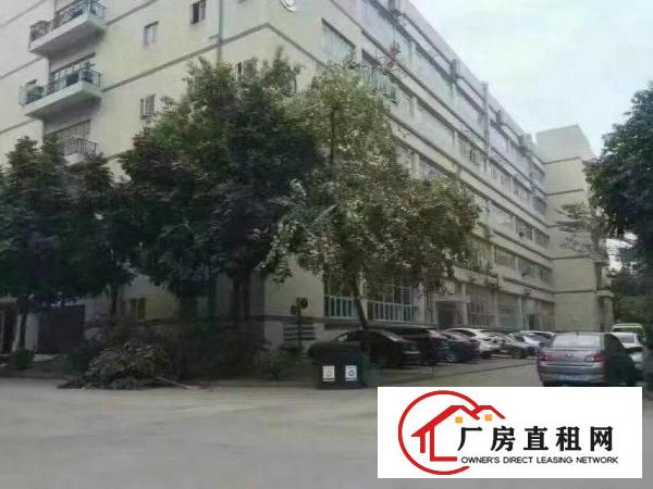 
		石岩应人石楼上850平米厂房可做制衣带精装修出租
	