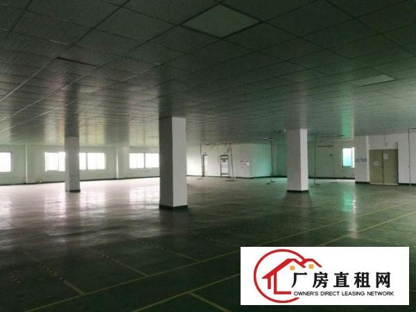 
		大浪英泰工业区300~500~6000平装修厂房
	