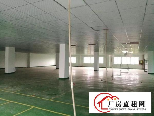 
		大浪英泰工业区300~500~6000平装修厂房
	