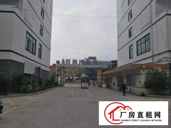 
		大浪英泰工业区300~500~6000平装修厂房
	