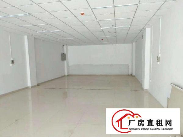 
		一楼！龙华大浪新出一楼240平价格美丽
	
