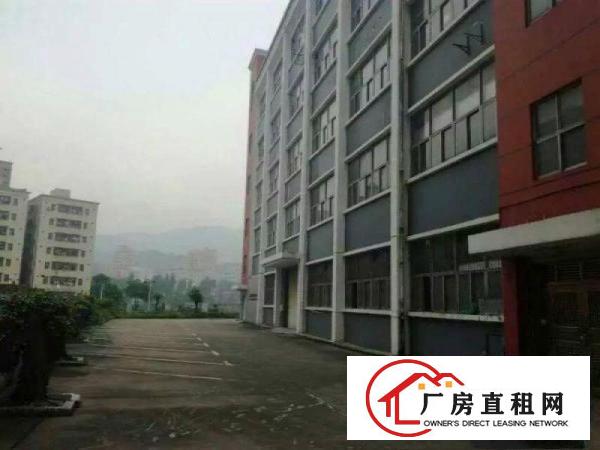 
		大浪工业园路新出原房东600平带精装修免转让费
	