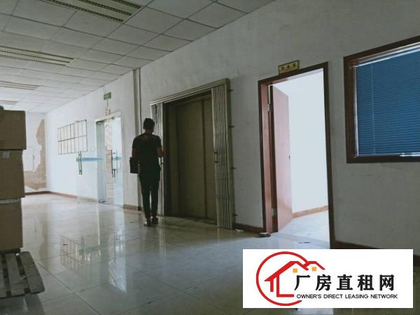 
		龙华大浪商业中心附近新出楼上带装办公厂房1100平
	