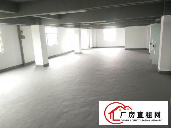 
		龙华大浪新出楼上带办公室装修600平厂房，拎包入住
	