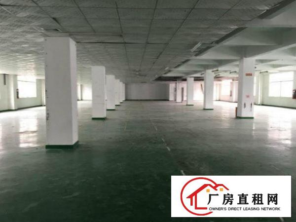 
		大浪英泰工业区460~620~2800平带装修厂房
	